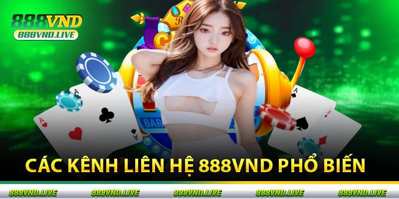 Các kênh liên hệ 888VND phổ biến
