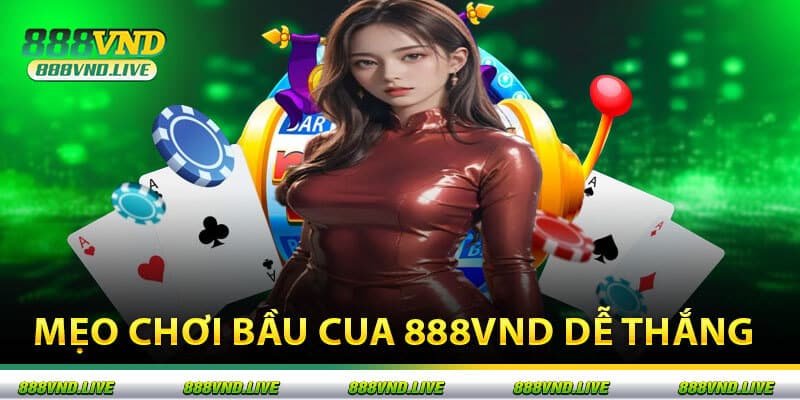 Mẹo Chơi Bầu Cua 888vnd Dễ Thắng