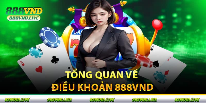Tổng Quan Về Điều Khoản 888VND